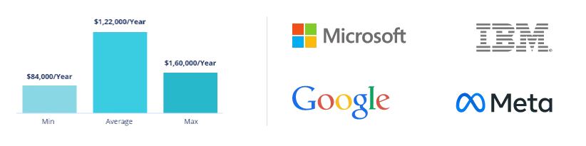 Data Scientist