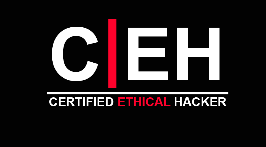 Mastering the Art of Ethical Hacking: Insights from a Certified Ethical Hacker