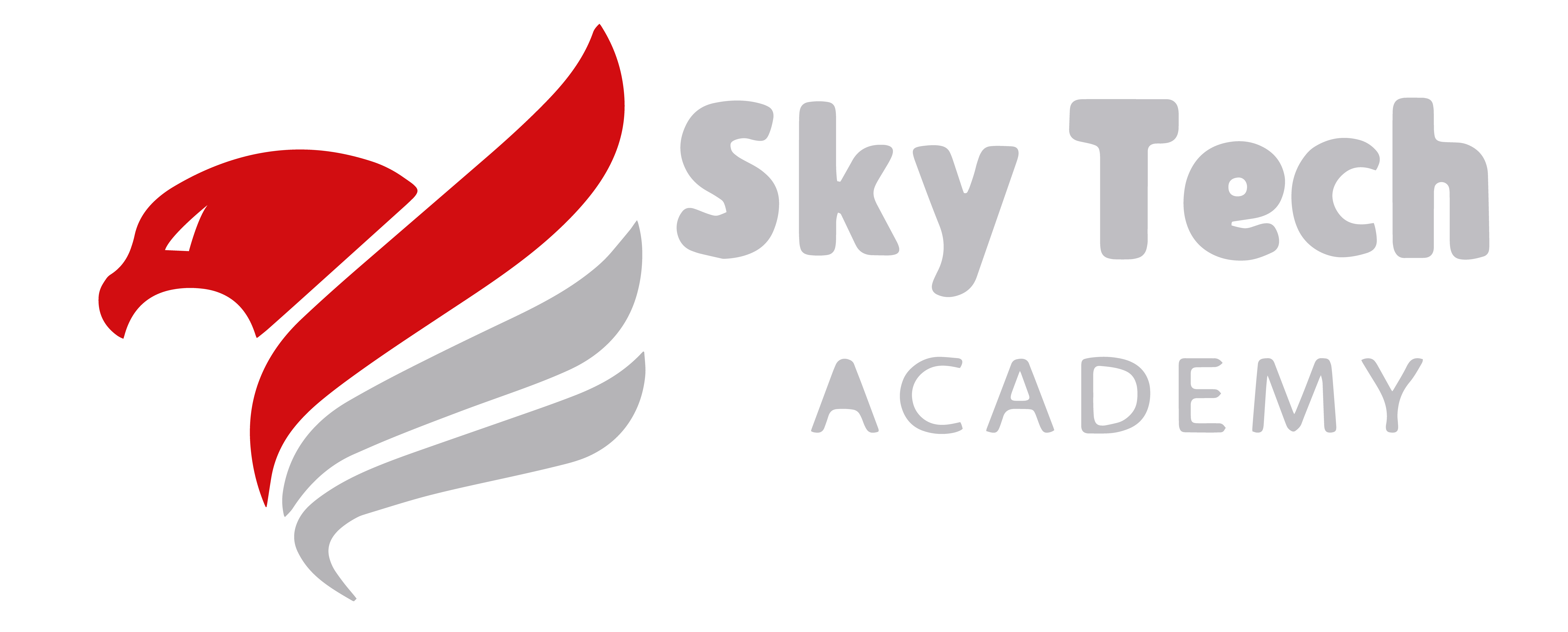 Sky Tech Academy 